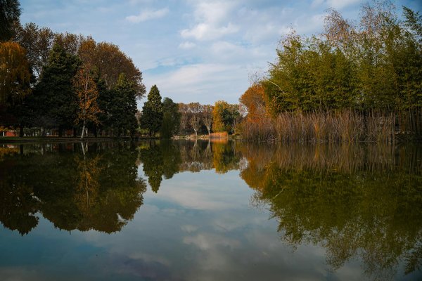 Max Barber avis : ce que vous devez savoir avant de choisir